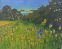 Agapanthus morning, Isles of Scilly by Andrea Stokes