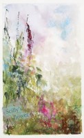 Summer Flowers on Scilly  by Amanda Hoskin