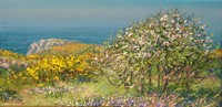 Crab Apple and Gorse, Bosigran by Mark Preston