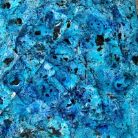 Big blue by Shelley Anderson