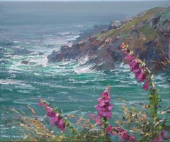 Foxgloves Zennor Head by Mark Preston