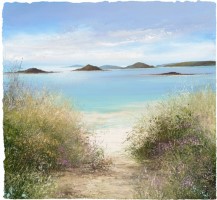 Path down to the beach, Pentle Bay by Amanda Hoskin