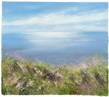 Sea pinks on the Coastal Path by Amanda Hoskin