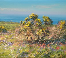 Gorse Against the Blue, Trevelgan Hill by Mark Preston