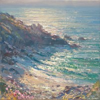 Summer Evening, Veor Cove by Mark Preston