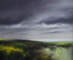 Gorse flowers on Bodmin Moor by Alan Stratford