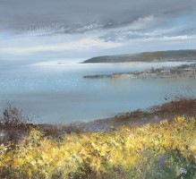 A Spring Tide of Daffodils!  by Amanda Hoskin