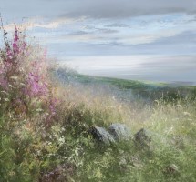 Echoes of a Summer's Day near Lamorna  by Amanda Hoskin