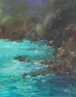 Little gem near Porthcurno by Amanda Hoskin