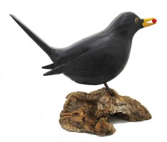 Blackbird by Geoffrey Bickley