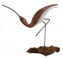 Curlew looking up by Geoffrey Bickley