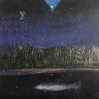 The silver fish by Catherine Hyde