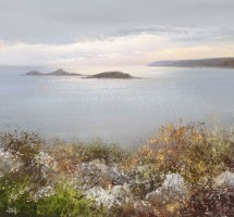 September Gorse, looking towards the Eastern Isles, IOS by Amanda Hoskin