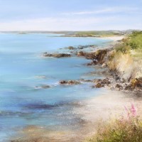 Summer colours, Mounts Bay by Amanda Hoskin