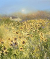 Sunflowers at Gulval by Amanda Hoskin