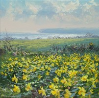 Daffodils, towards Mousehole by Mark Preston