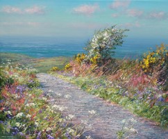 Mayblossom, Trevalgan Hill by Mark Preston