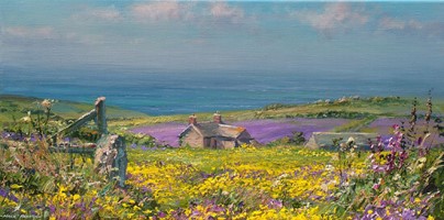 Viper's Bugloss and Corn Marigolds, Boscregan Farm by Mark Preston