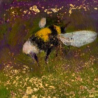 Where the bee harvests by Catherine Hyde