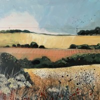 Ploughed field and crows by Kirsten Elswood