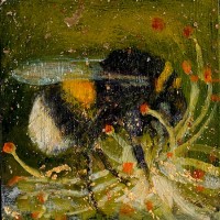 Where the bee thrums by Catherine Hyde
