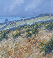 Sea and gorse, St Agnes Isles of Scilly by Robert Jones