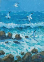 Surf and gulls by Robert Jones