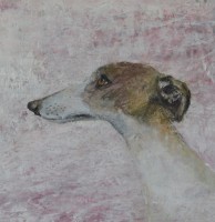 Pink mist  by Tracy Rees