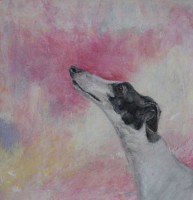 Pink sky by Tracy Rees