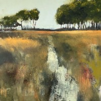 Textured fields by Kirsten Elswood