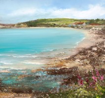 Bright Summer colours at New Grimsby, Tresco by Amanda Hoskin