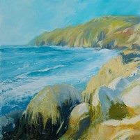 Evening light, seal corner, Porthledden by Rachel Brown