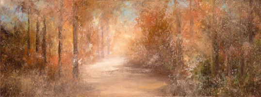 A sunlit walk through the woods, Cornwall by Amanda Hoskin