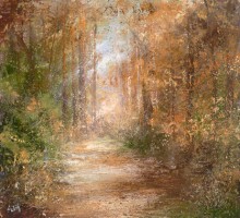 Autumn woods, Cornwall by Amanda Hoskin