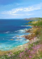 Seapinks at Nanjulian Cliff by Amanda Hoskin