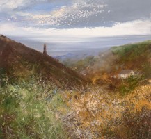 Silver light and yellow gorse at Kenidjack, St Just by Amanda Hoskin