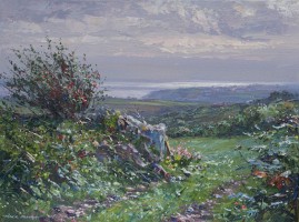 September Light, Boskednan  by Mark Preston