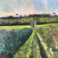 Cabbages and Umbrella Pines by Kirsten Elswood