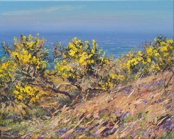 Bluebells and Gorse, Chypraze Cliff by Mark Preston