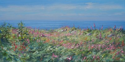 Foxgloves and Campion above Morvah by Mark Preston