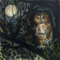 Owl light by Catherine Hyde