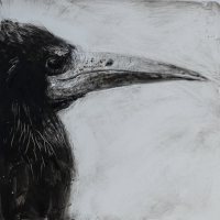Rook by Catherine Hyde