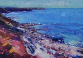North Cliffs by Mike Hindle