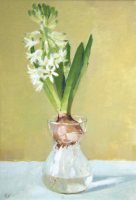 Hyacinth in bulb jar by Annie Waring