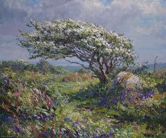 Windswept Hawthorn in Spring by Mark Preston