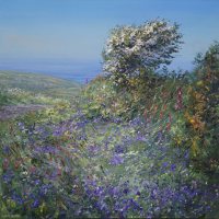 Mayblossom and Bluebells, Trevalgan Hill by Mark Preston