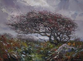 Windswept Hawthorn in Autumn by Mark Preston