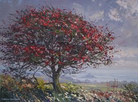 Red Hawthorn, Boskednan by Mark Preston