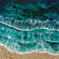 Beyond the Shallows by Julia Poprawski