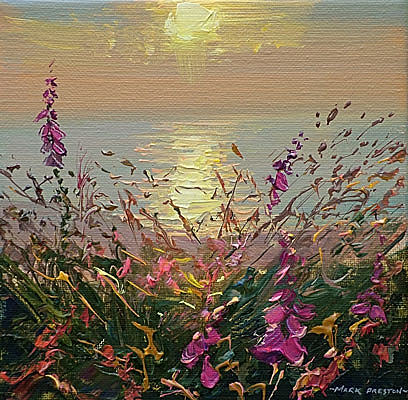 Evening light, Rosewall by Mark Preston